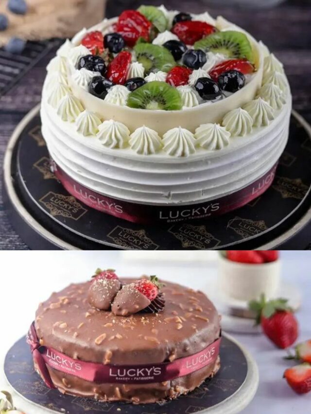 Buy Chocolate Cakes Online | Chocolate Cakes Online | Tfcakes